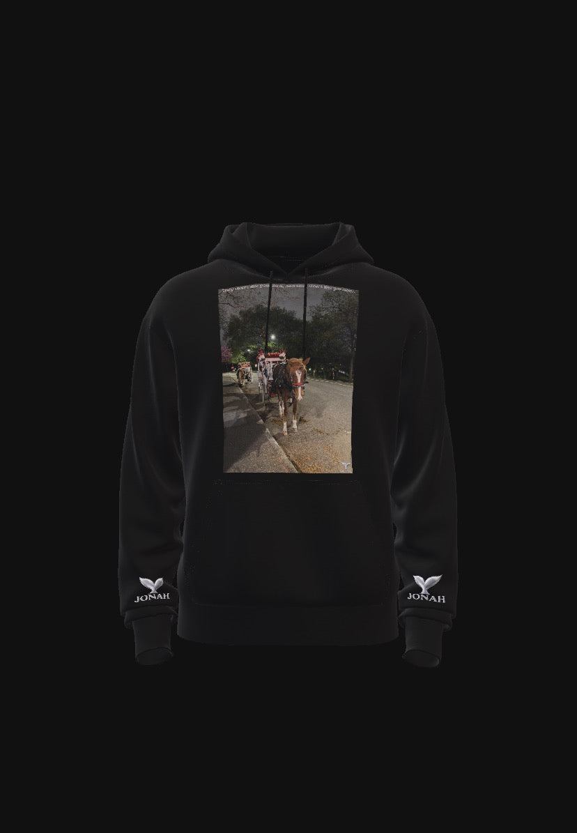 D012) Wings Hoodie (They Didn’t Like You Then, And They Don’t Like You Now)
