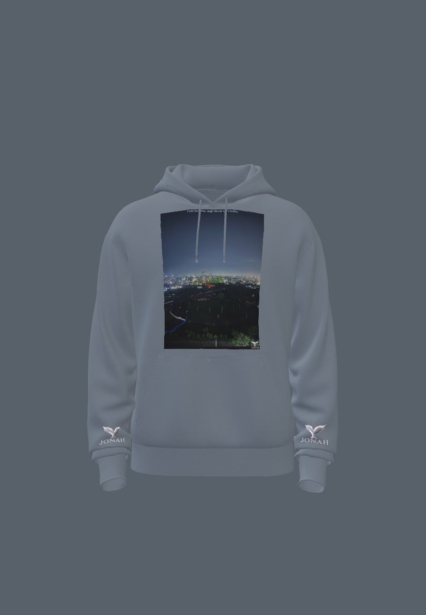 You Broke My Heart Fredo (Wings Hoodie)