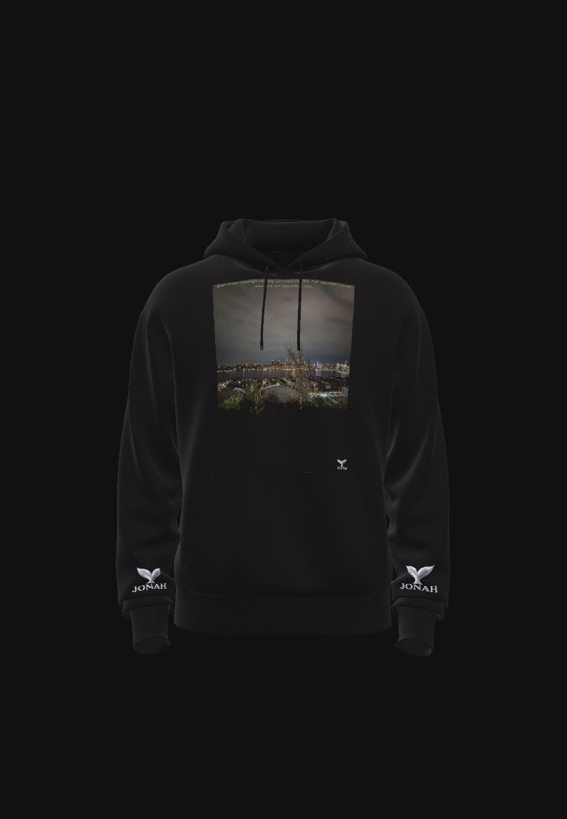 D011) Wings Hoodie (I Just Want Enough Money To Read Books For An Entire Year And Not Do Anything Else)