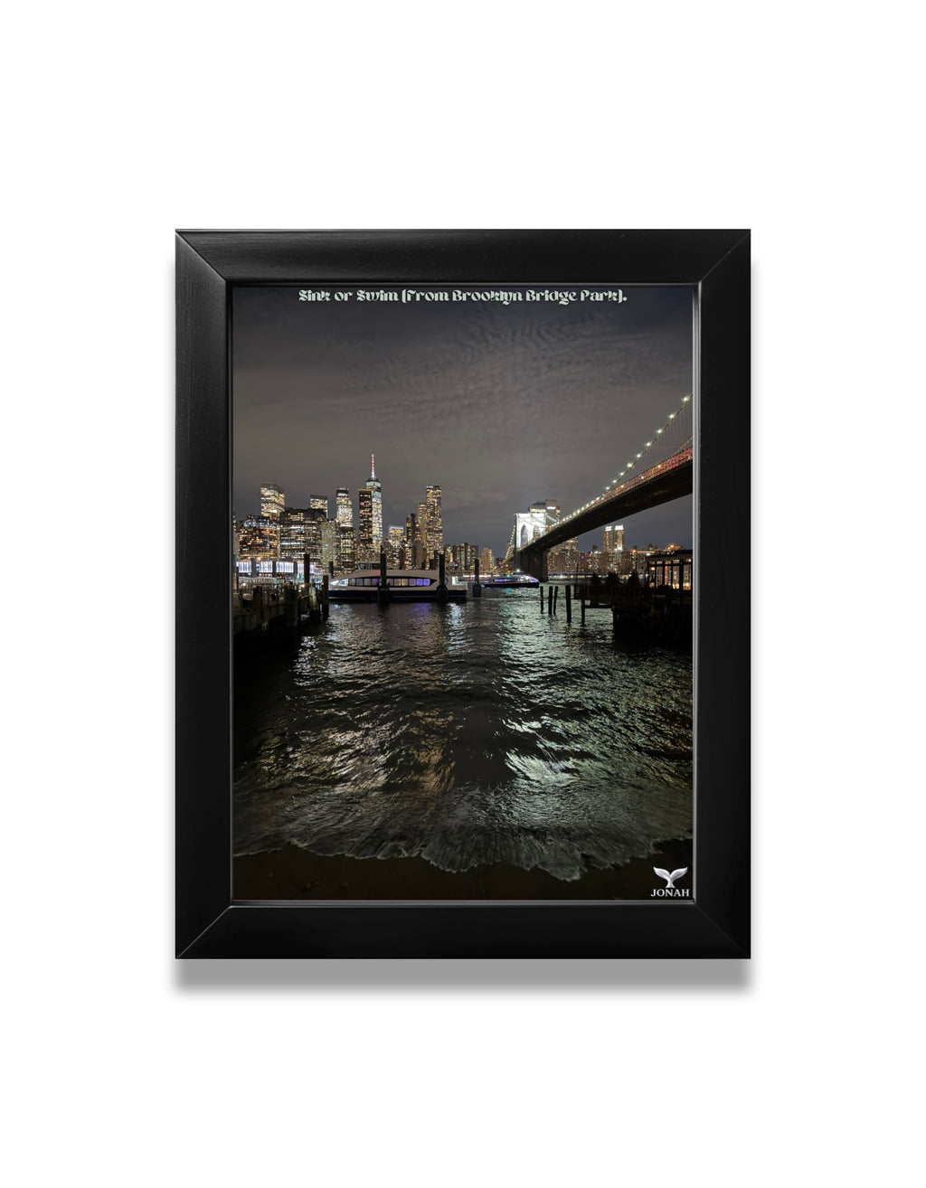 Sink or Swim (From Brooklyn Bridge Park)