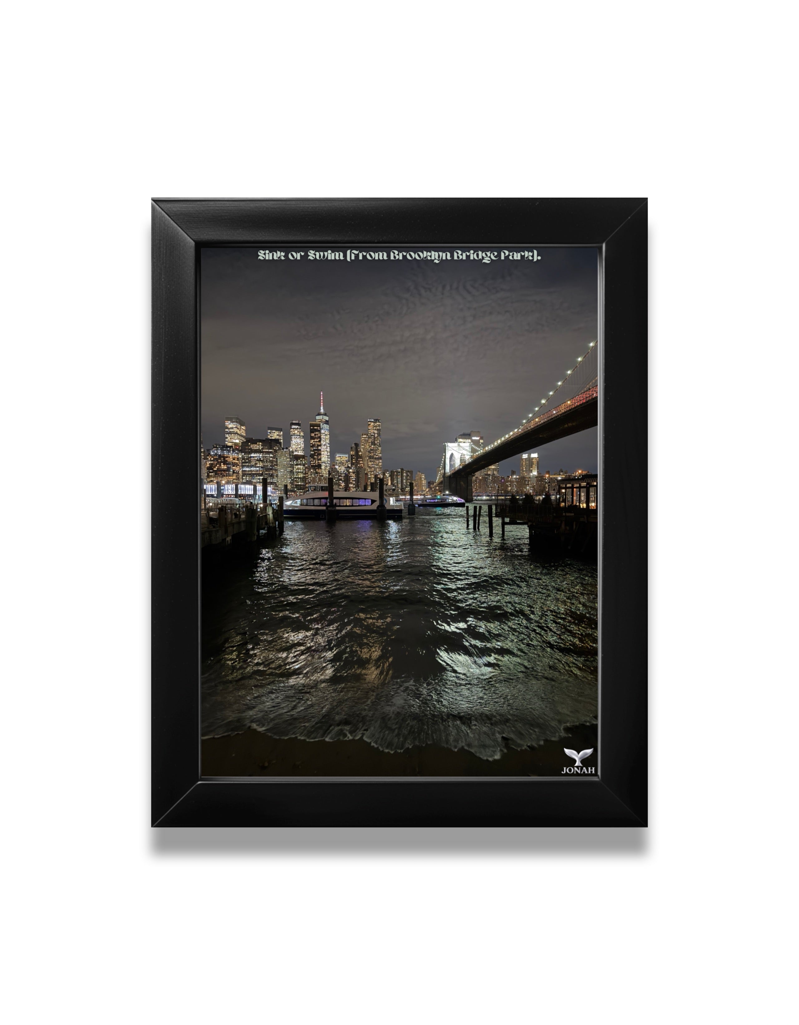 Sink or Swim (From Brooklyn Bridge Park)
