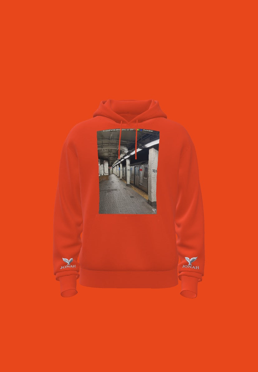 Transfer Is Available To The LGBTQ+ Terminal (Wings Hoodie)
