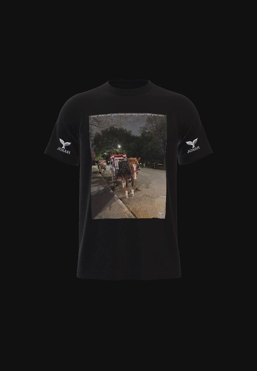 A012) Wings Tee (They Didn’t Like You Then, And They Don’t Like You Now)