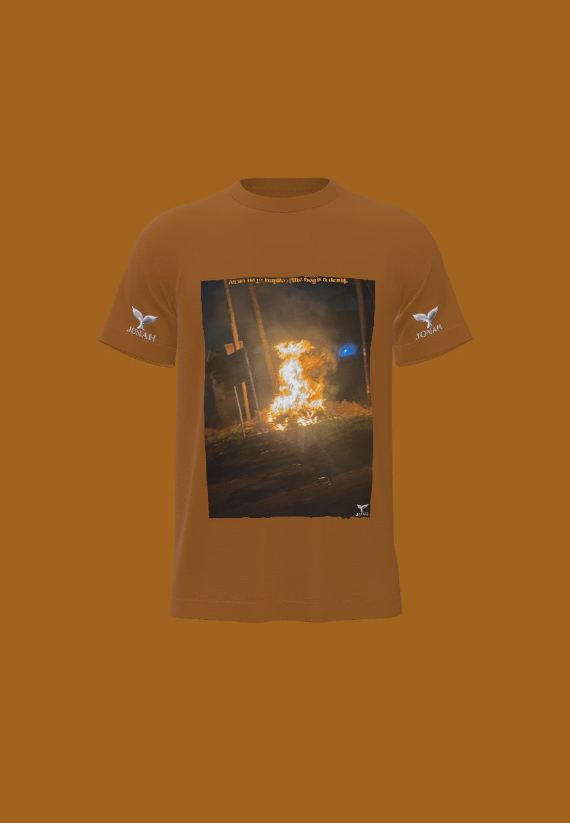 Akɔla No Yɛ Bayifoɔ (The Boy Is A Devil) (Wings Tee)