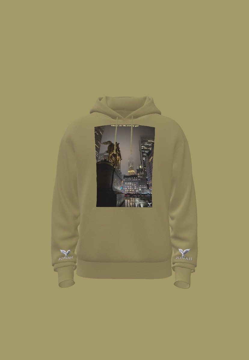 Where Did The Money Go? (Wings Hoodie)