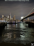 Sink or Swim (From Brooklyn Bridge Park)