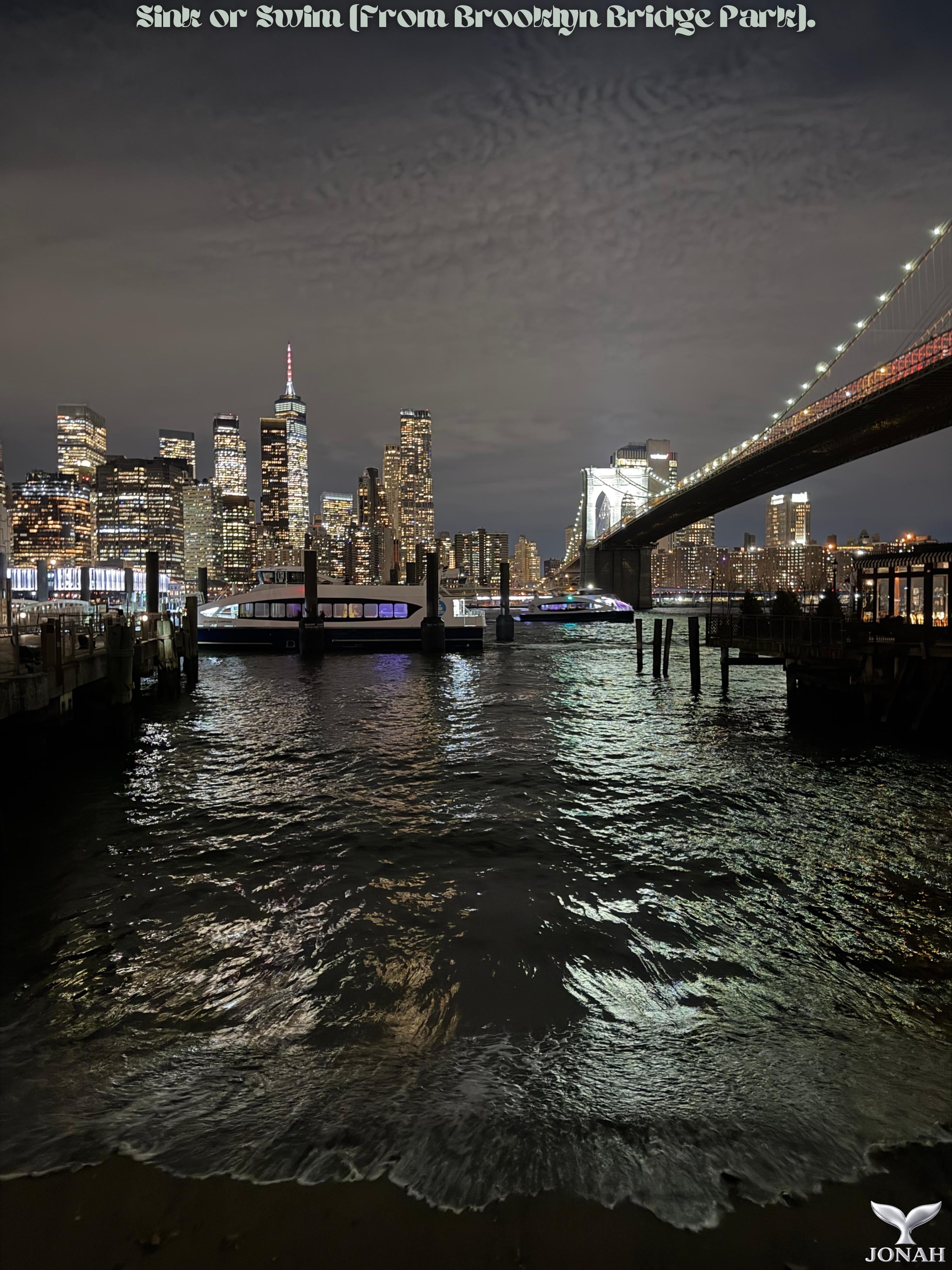 Sink or Swim (From Brooklyn Bridge Park)