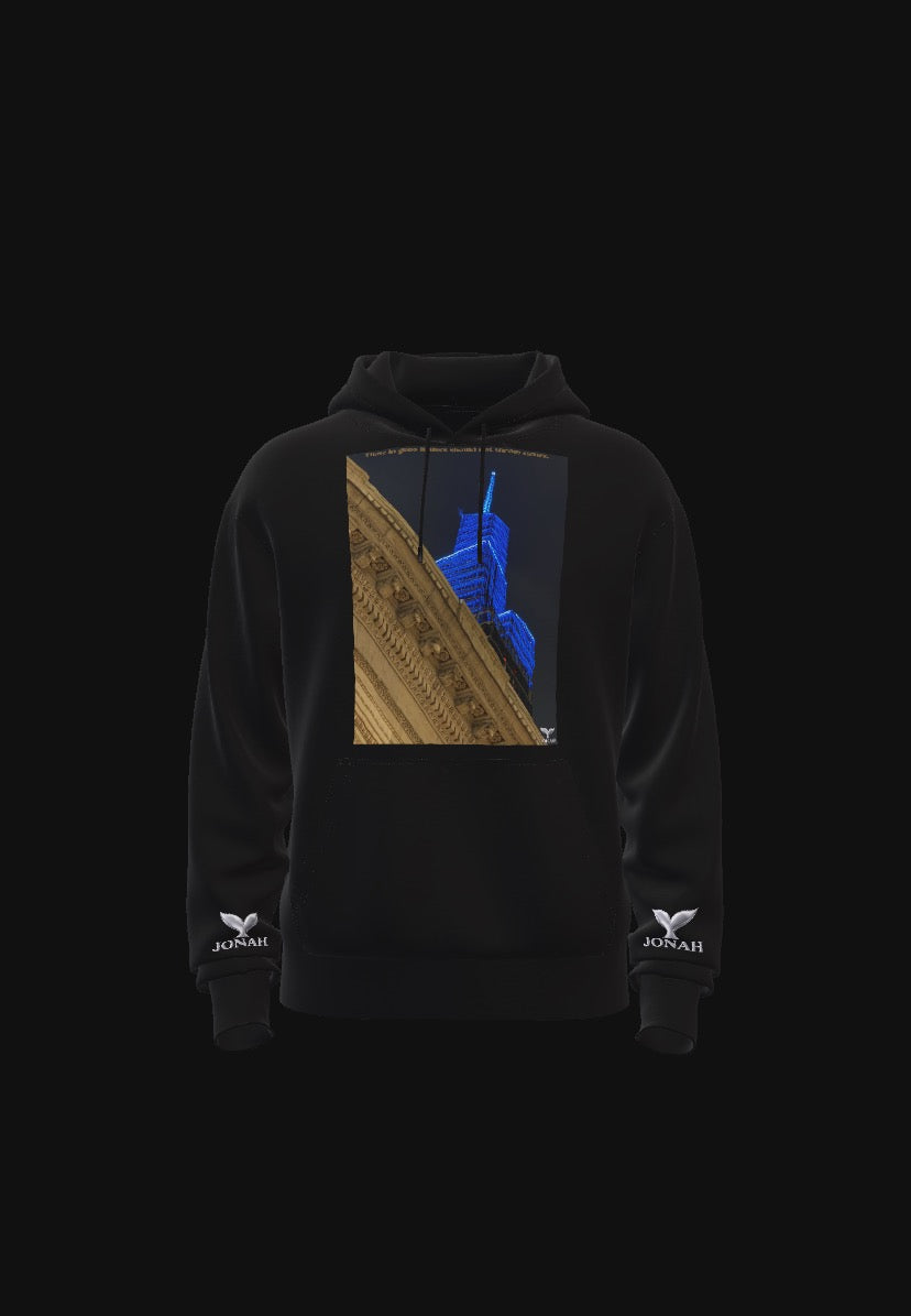 D013) Wings Hoodie (Those In Glass Houses Should Not Throw Stones)