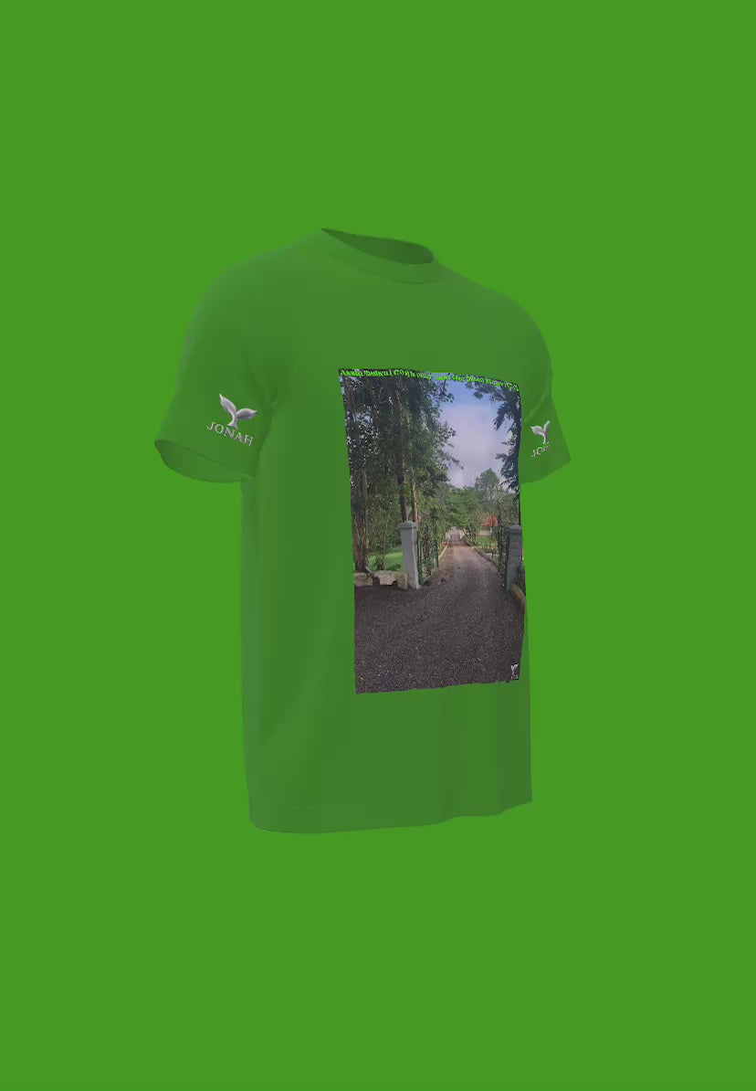 Assin Kushea (1701) Is Older Than The United States (1776) (Wings Tee)
