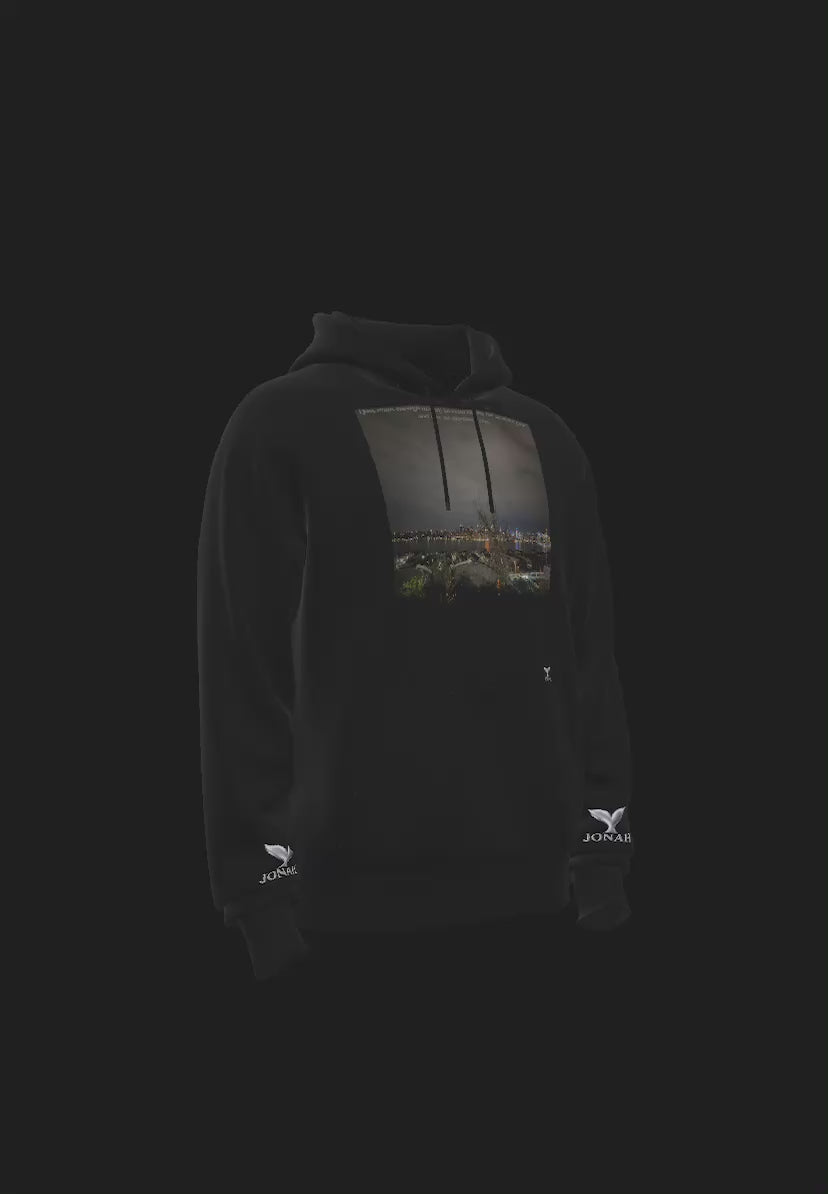 D011) Wings Hoodie (I Just Want Enough Money To Read Books For An Entire Year And Not Do Anything Else)