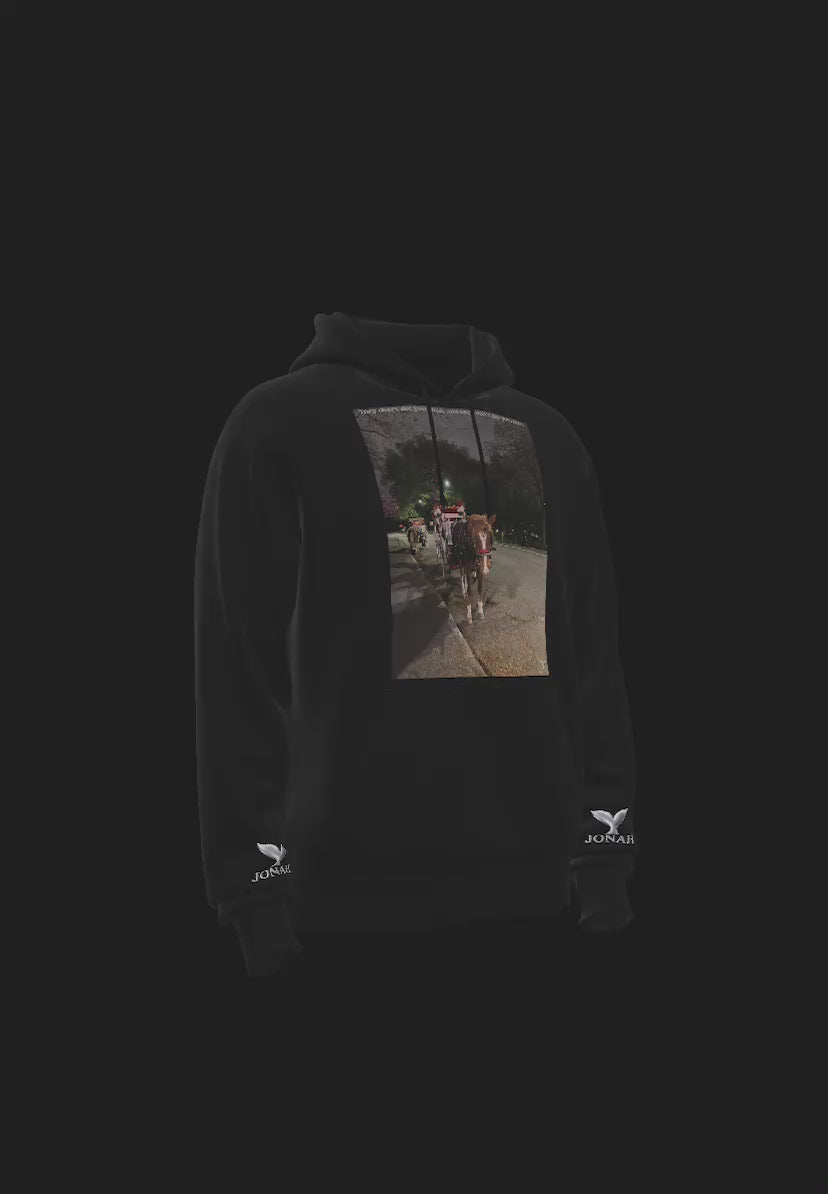 D012) Wings Hoodie (They Didn’t Like You Then, And They Don’t Like You Now)