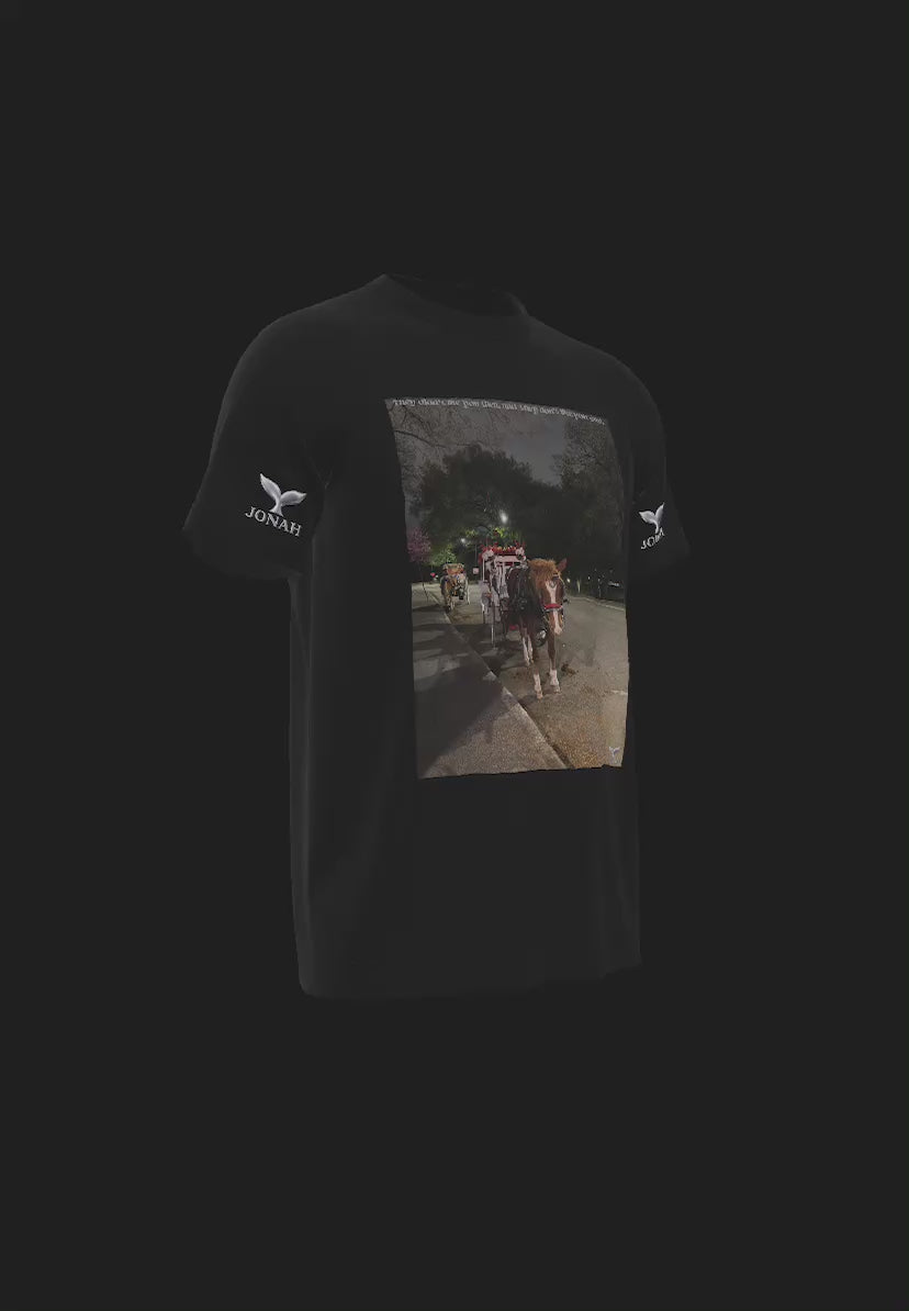 A012) Wings Tee (They Didn’t Like You Then, And They Don’t Like You Now)